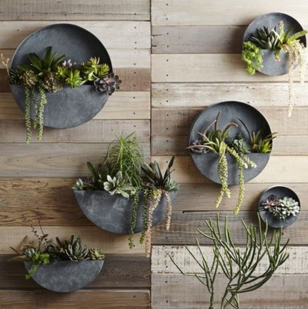 Galvanized Hanging Succulent Garden Planter - Picture 2 of 8